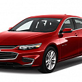 2016-2019