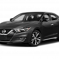 Maxima